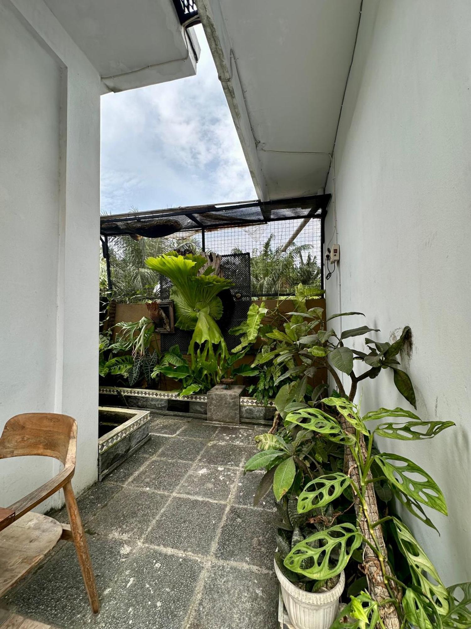 Rumah Kita Canggu Zewnętrze zdjęcie